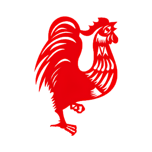 AYAM